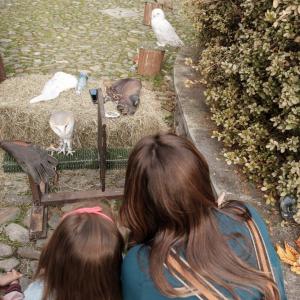 Maccagno Imperiale 9 10 2021 142