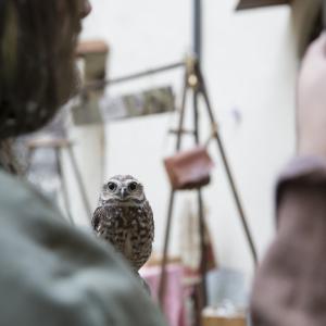 Maccagno Imperiale 9 10 2021 182