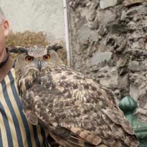 Maccagno Imperiale 9 10 2021 24